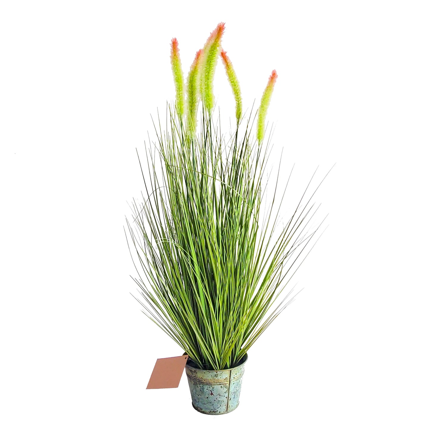 Plastic False Reed Grass Setaria Plant Indoor Decoration Artificial Potted Setaria Blume Yooly Plant - YLS0014