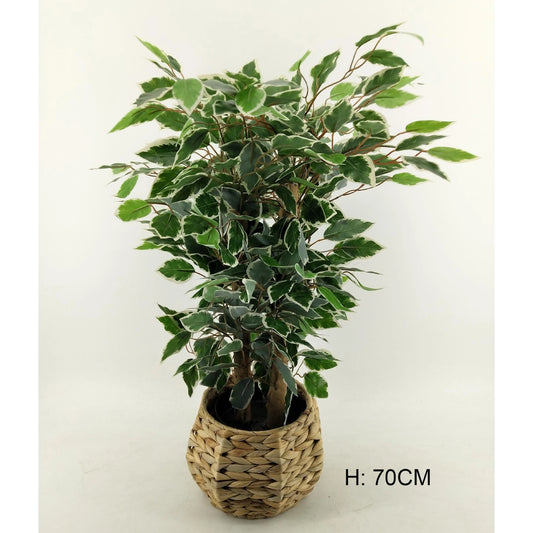 Factory Direct Supply Anti-UV Fake Indoor Small Artificial Plants With Pot Outdoor Silk Plants Banyan Ficus Tree For Sale Yooly Plants - YL0301