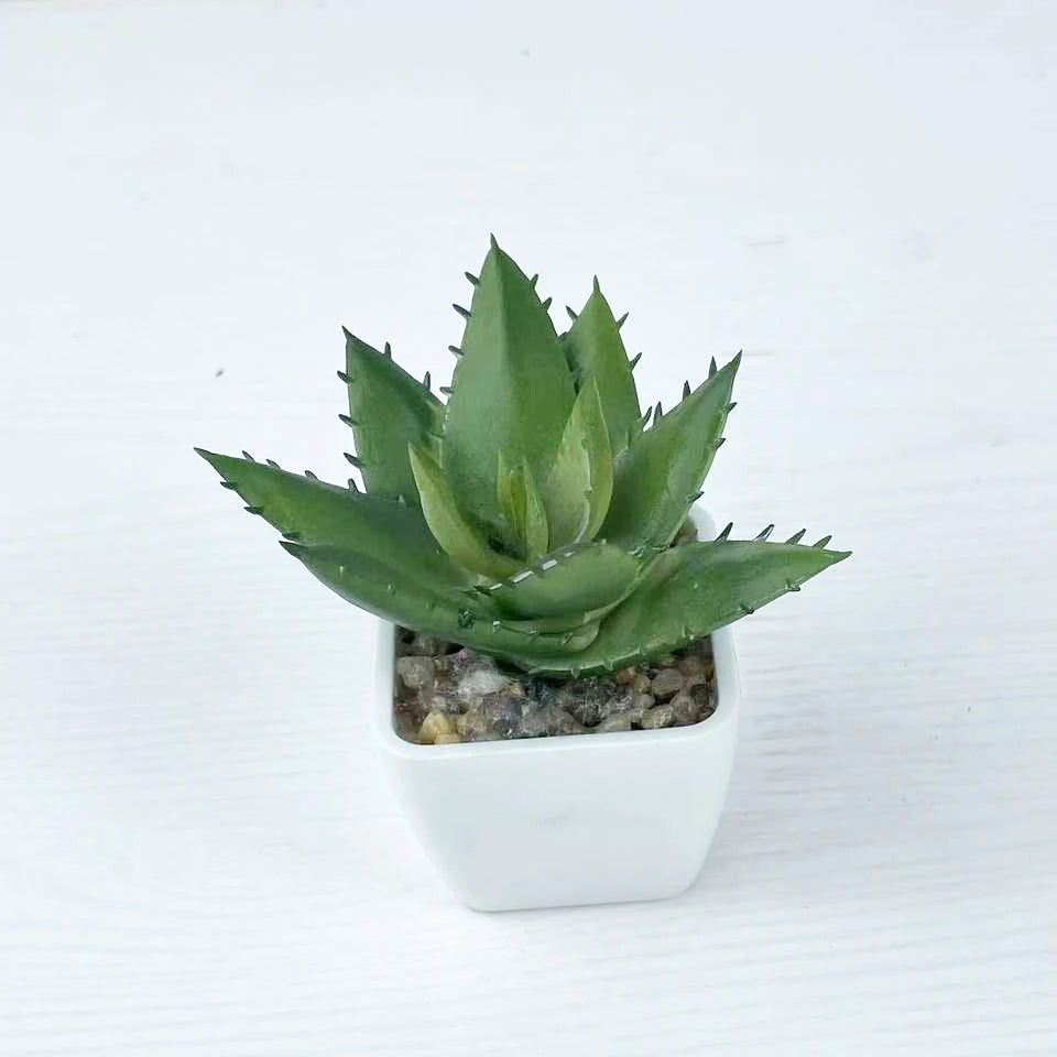 Wholesale of high-quality artificial small succulent Plantss potted Plantss bonsai artificial Plantss Yooly Plants - YLS10040