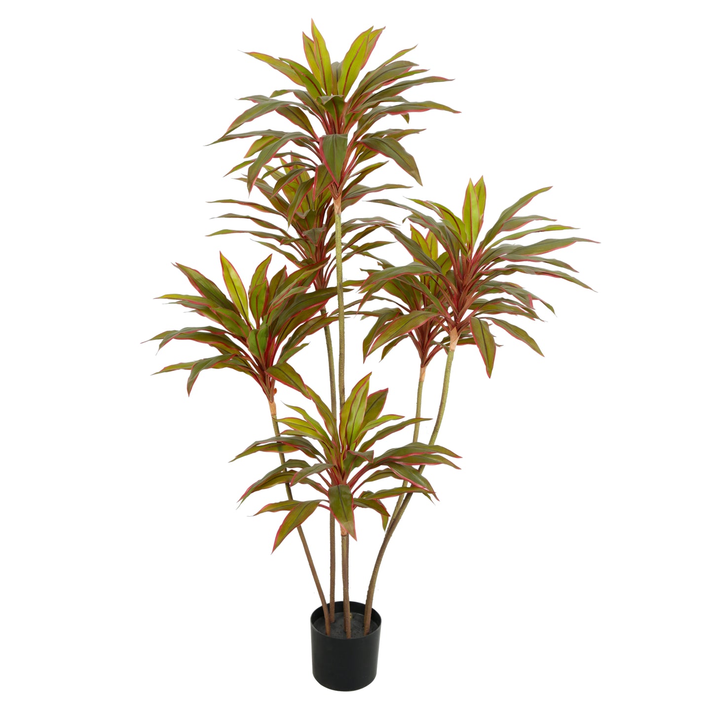 Factory Wholesale Big 180CM 6FT Tall Realistic Tropical Plastic Artificial Plant Faux Cordyline Fruticosa Plant In Pot For Sale Yooly Plants - YL3028