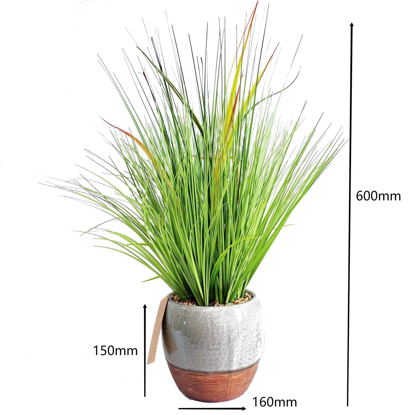 Artificial Potted Onion Grass in Pot Decorative Plastic Faux Greenery Plant for Kid's Room Decor Yooly Plant - YLS0023