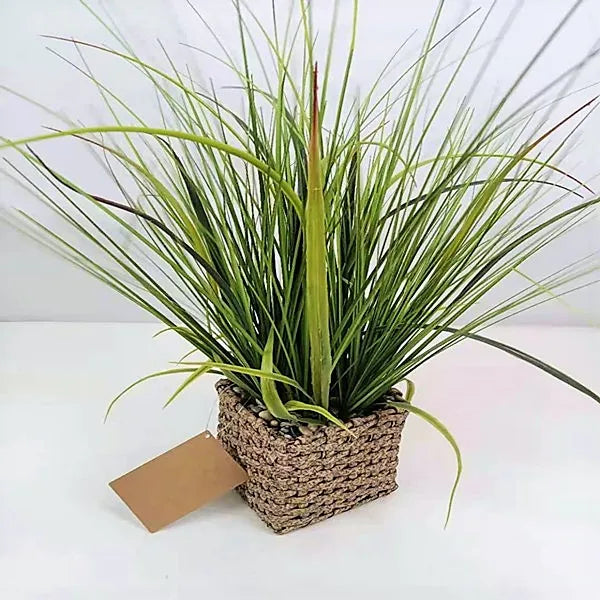 High Simulate Artificial Plants Onion Grass Potted Plastic Artificial Bonsai Green Plant for Garden Decoration Yooly Plants - YLS10004