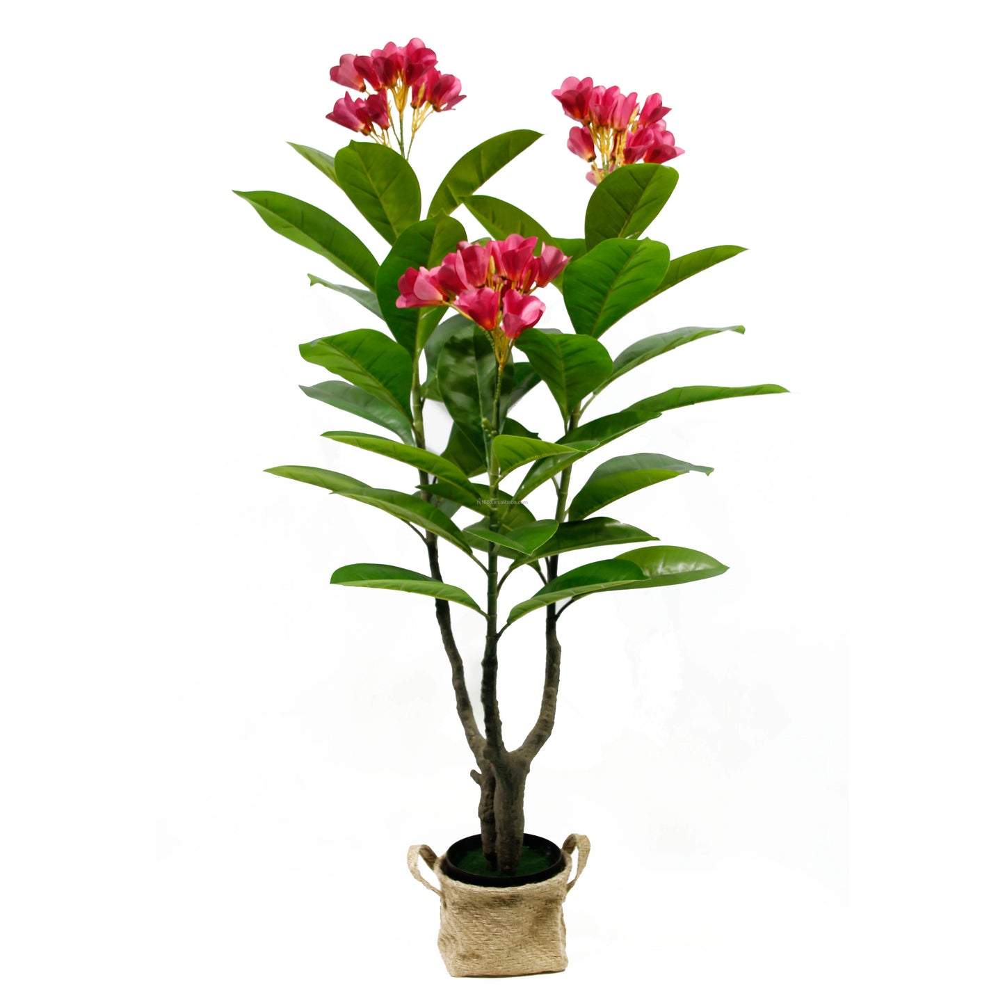 Factory Direct Sale Indoor Delightful Small Faux Bonsai Potted Plants Plumeria Rubra Acutifolia Flower Tree For Home Party Decor Yooly Plants -  YL08054