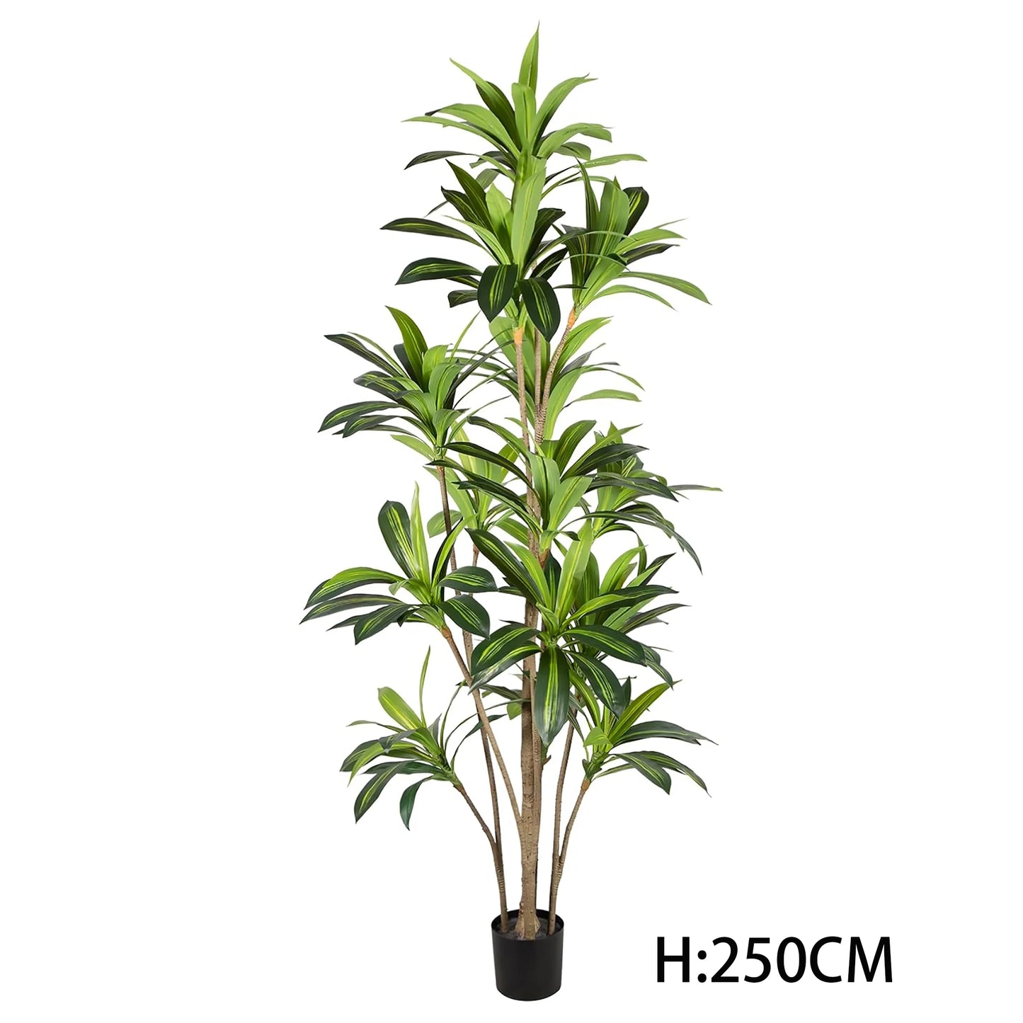 Faux Realistic Potted Bonsai Corn Plant Artificial Dracaena Fragrans Tree Dracaena Sanderiena For Home Decor Yooly Plants - YL07793