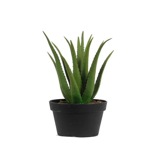 Small Faux Potted Succulent Plant Artificial Aloe Vera Plant For Home Garden Living Room Backyard Decor Yooly Plants - YL04467