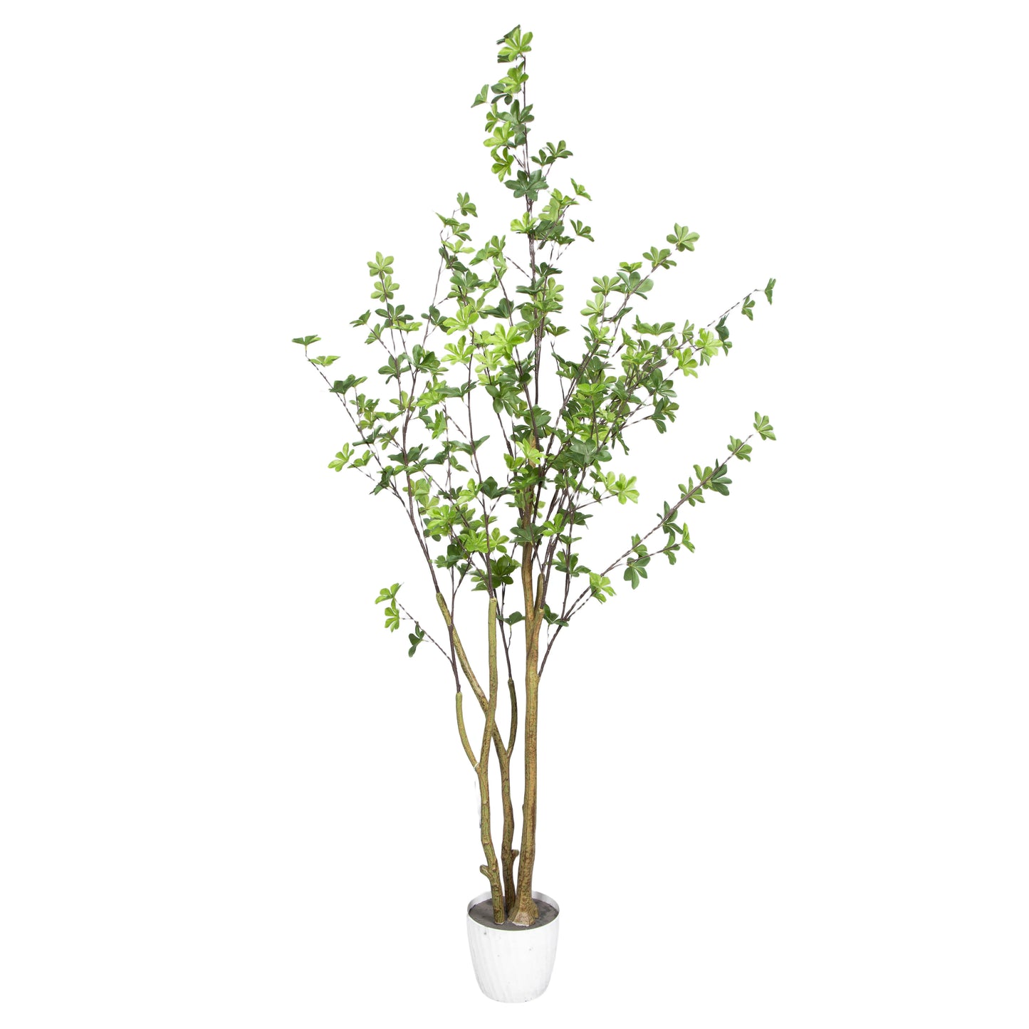 180CM 6FT High Two Natural Looking Trunks Plastic Artificial Bell Tree With Lifelike Branches For Wedding And Living Room Decor Yooly Plants - YL33368