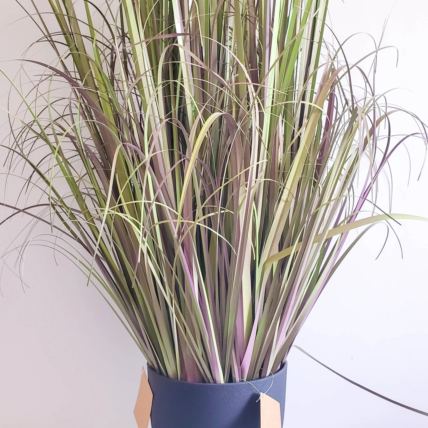 Plastic False Reed Grass Setaria Plant Indoor Decoration Artificial Potted Setaria Blume Yooly Plant - YLS0014