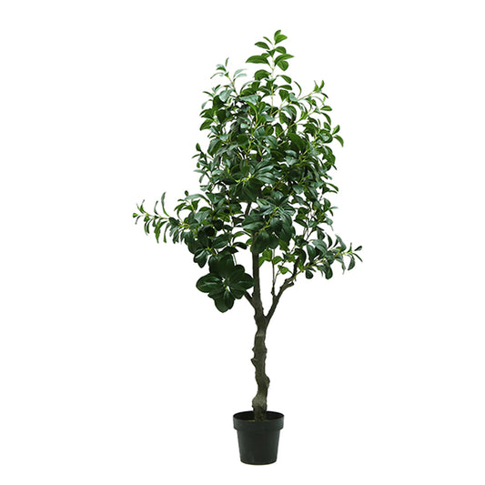 China High Simulation Fake Plants Evergreen Real Touch Plastic Leaf Bonsai Tree Artificial Douban Tree For Home Living Room Yooly Plants - YL03366