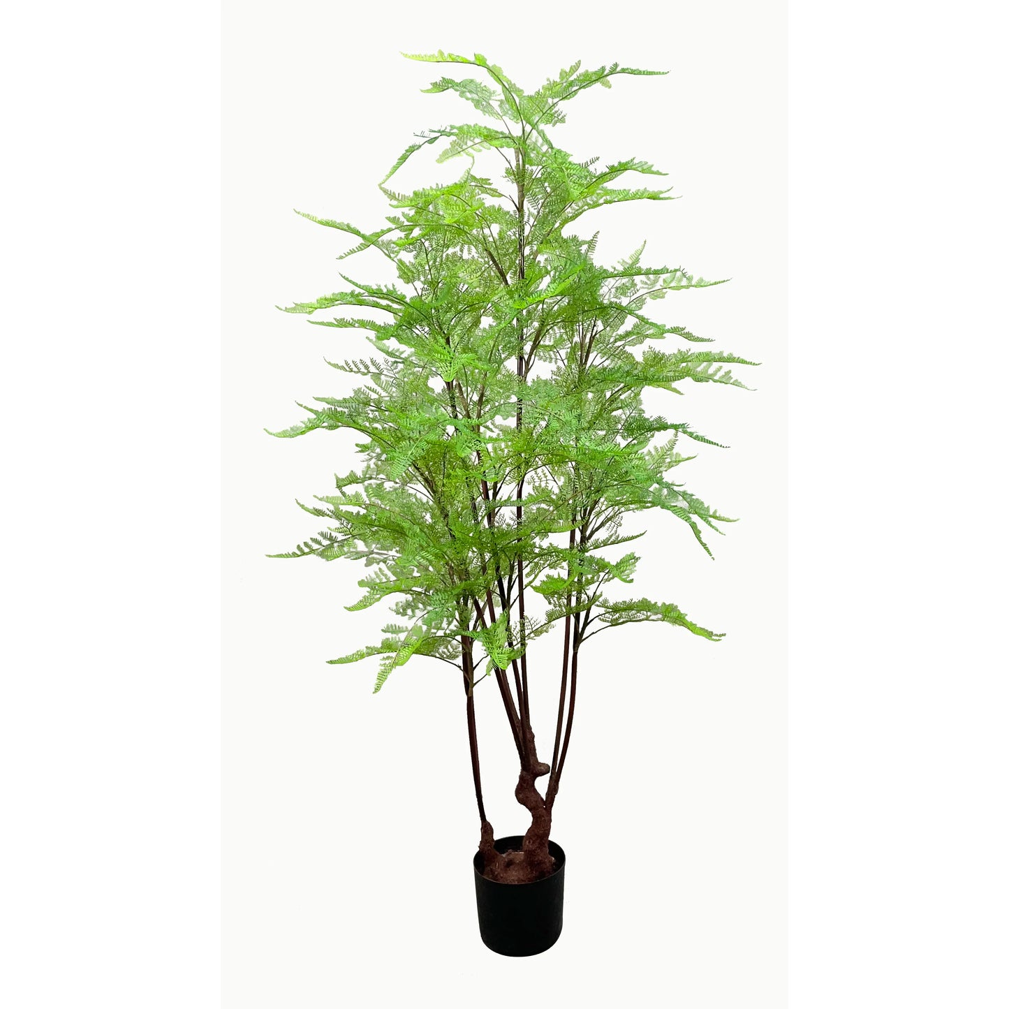 BSCI Factory Wholesale 160CM Tall Tropical Plastic Potted Bonsai Faux Plant Artificial Fern Tree For Interior Exterior Decor Yooly Plants - YL08354