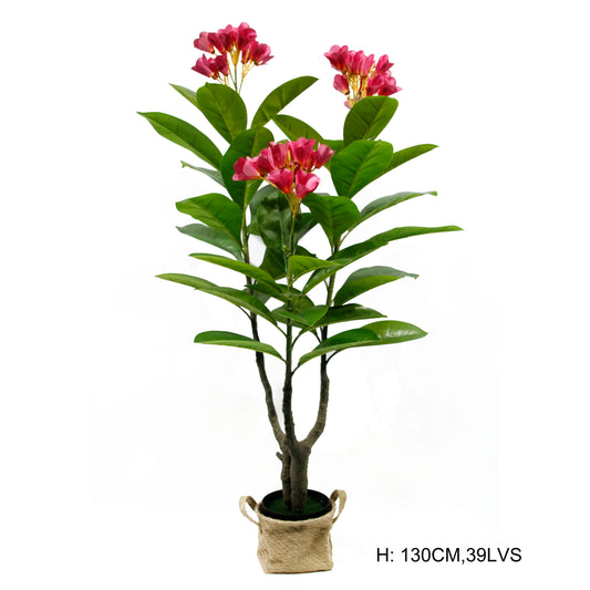 Factory Direct Sale Indoor Delightful Small Faux Bonsai Potted Plants Plumeria Rubra Acutifolia Flower Tree For Home Party Decor Yooly Plants -  YL08054