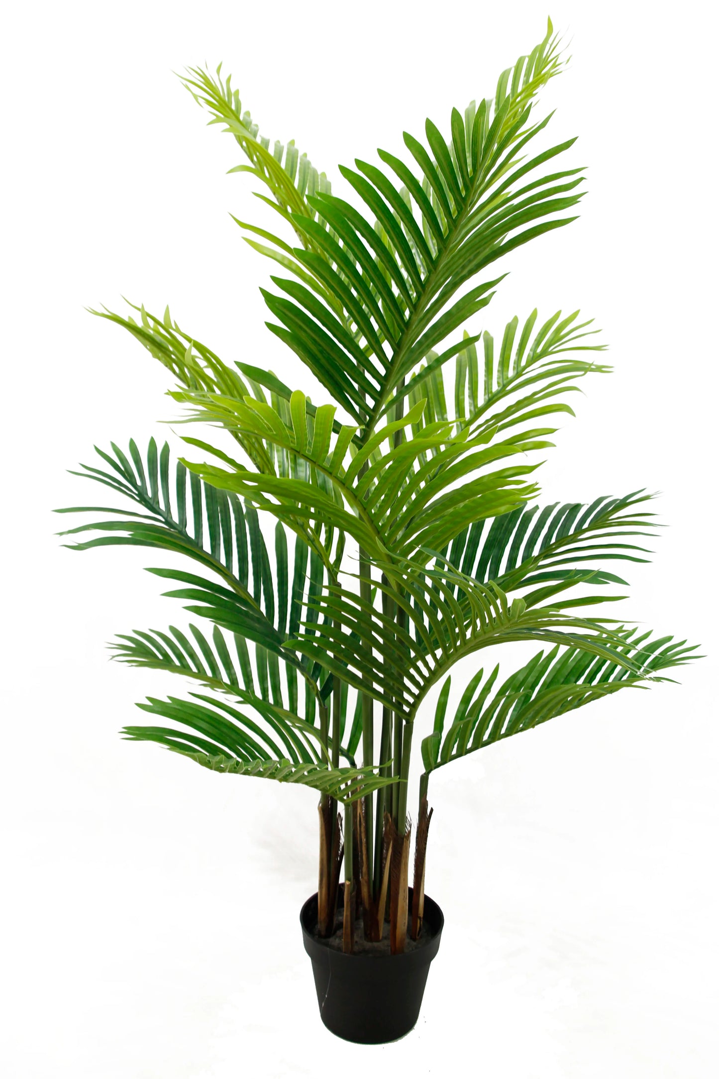 180cm High Quality Artificial Green Decorative Tree Simulation Hawaii Palm Tree Artificial Plant Indoor Tree Yooly Plants - YL08140