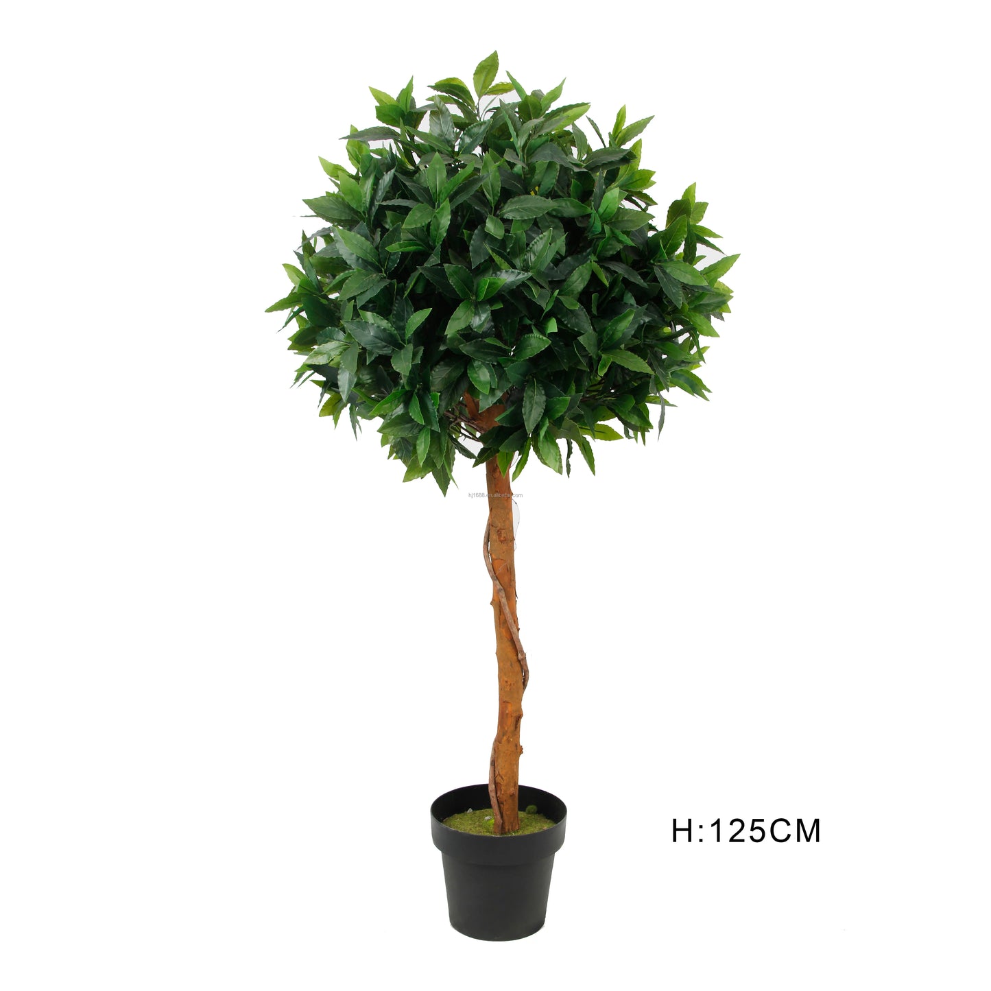 Wholesale Small Potted Plastic Artificial Bonsai Plant Evergreen Topiary Ball Faux Bay Leaf Laurel Tree For Home Yooly Plants - YL07768