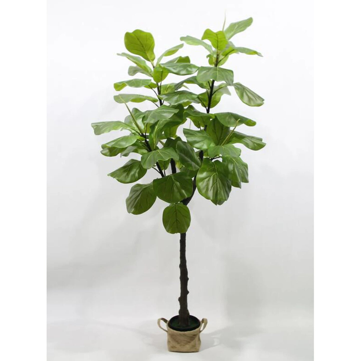 Anti-UV Indoor Hotel House Home Office Decoration 72in 6ft 180cm Fake Ficus Lyrata Plant Artificial Fiddle Leaf Fig Tree in Pot Yooly Plants - YL08109