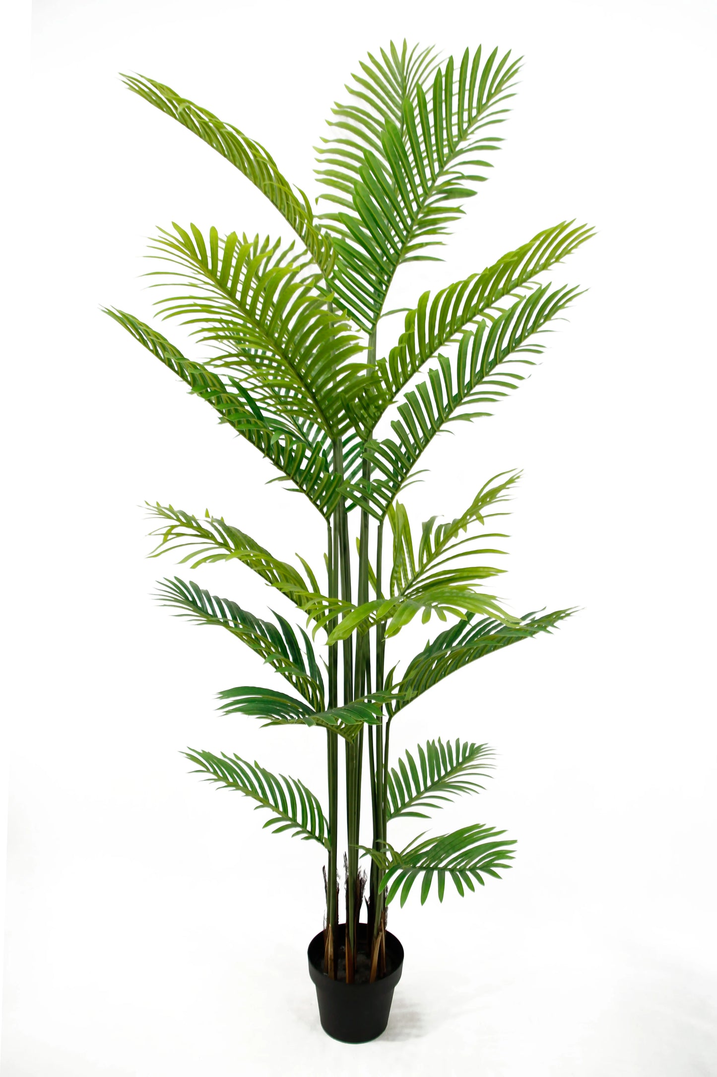 6FT Fake Geenery Silk Foliage Home Decorative 180CM Artificial Areca Palm Tree In Black Planter Yooly Plants - YL08140