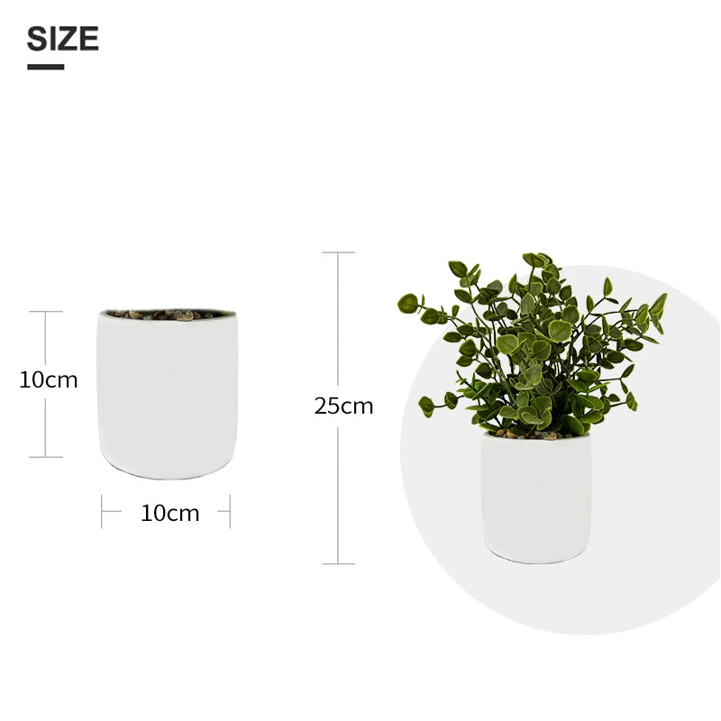 Mini Succulent in Pot Artificial Plants Bonsai Small Potted plants Plastic Flower Grass Out Door Plastic Plant Yooly Plants - YLS0013