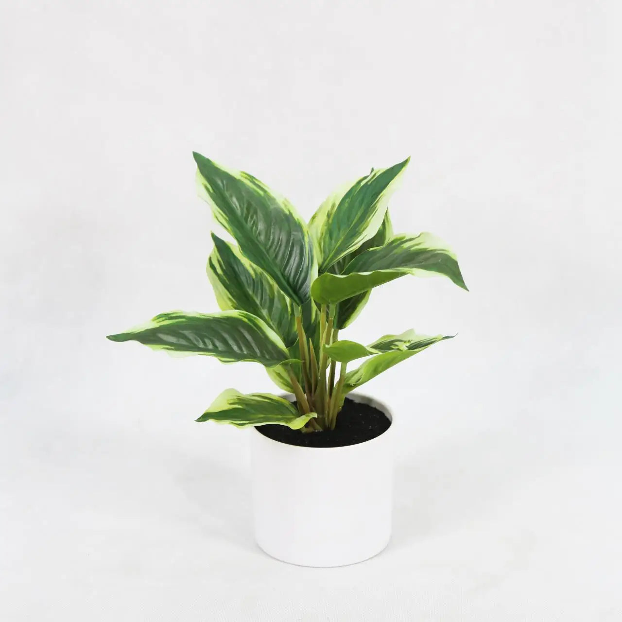 Mini Lifelike Faux Ornamental Plants Small Artificial Potted Plants For Office Desktop Decoration Yooly Plants - YL0628