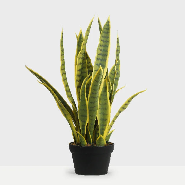 75CM 21 Leaves Artificial Succulent Indoor Fake Sansevieria Outdoor Faux Snake Plant In Pot Yooly Plants - YL05550