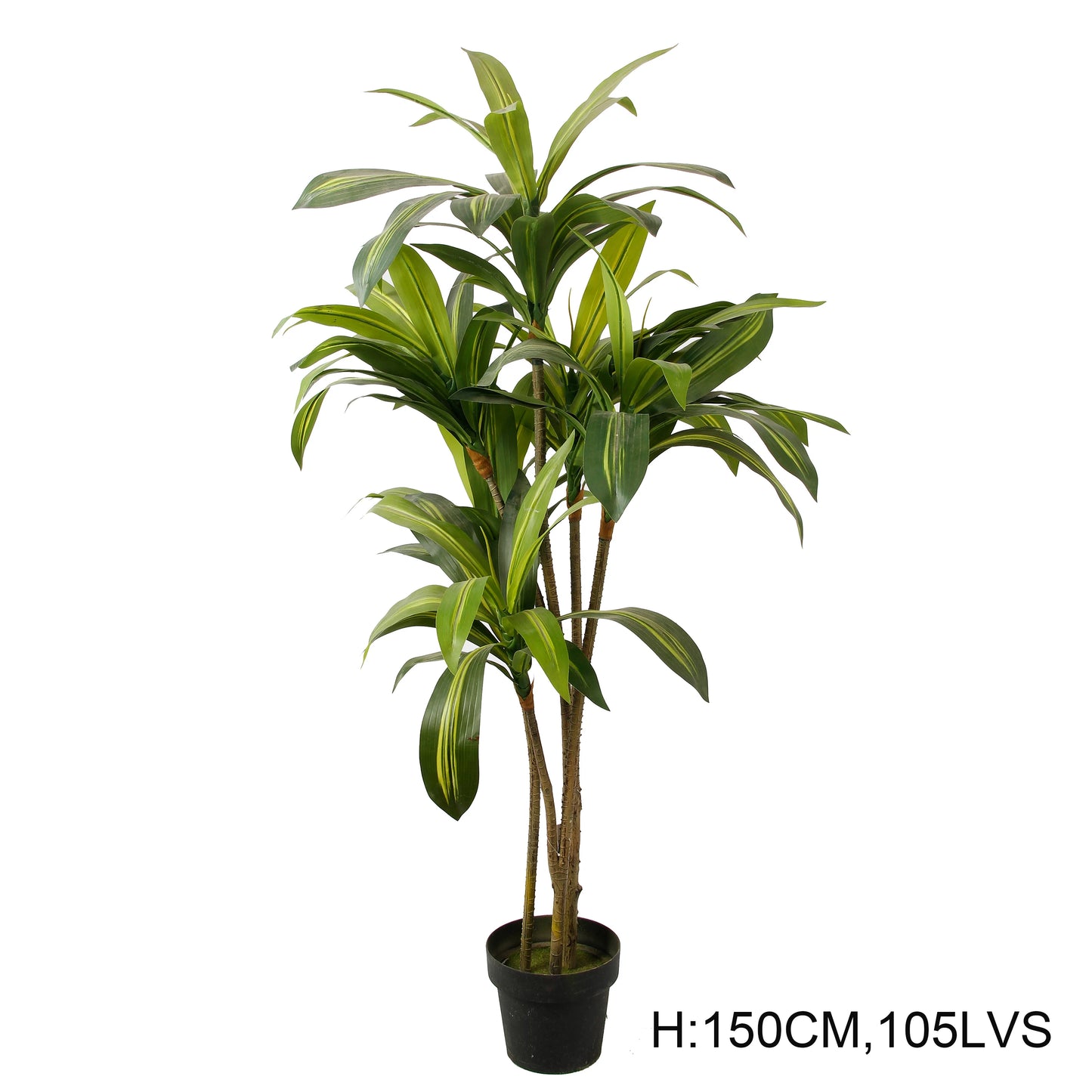 Outdoor Indoor Decorative Flowers And Plants Fake Dracaena Sanderiena Artificial Tree Dracaena Fragrans Yooly Plants - YL07796