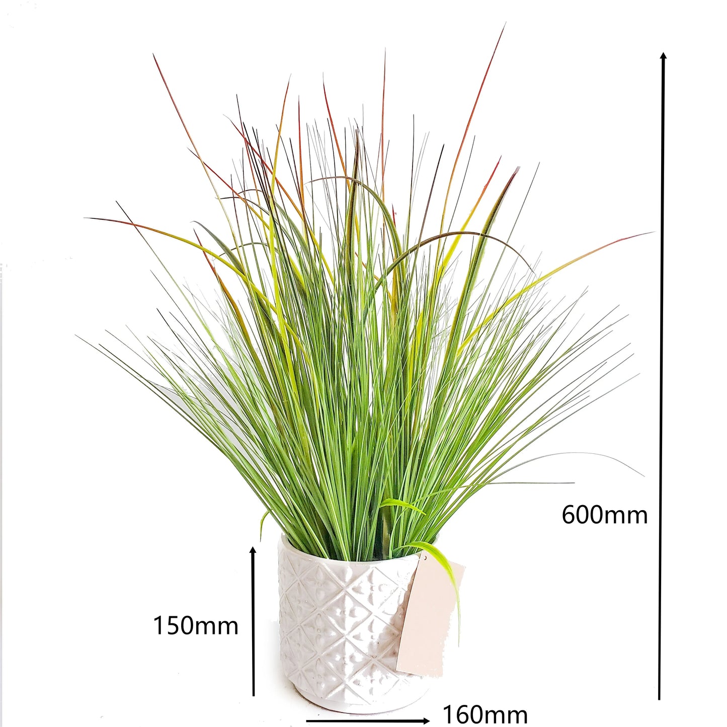 Artificial Potted Onion Grass in Pot Decorative Plastic Faux Greenery Plant for Kid's Room Decor Yooly Plant - YLS0023