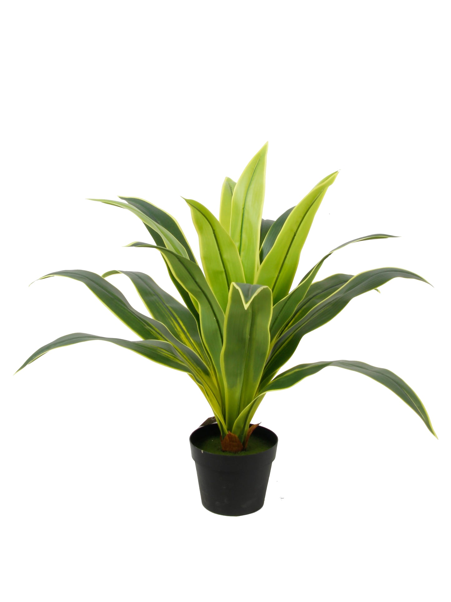 Outdoor Indoor Decorative Flowers And Plants Fake Dracaena Sanderiena Artificial Tree Dracaena Fragrans Yooly Plants - YL07796