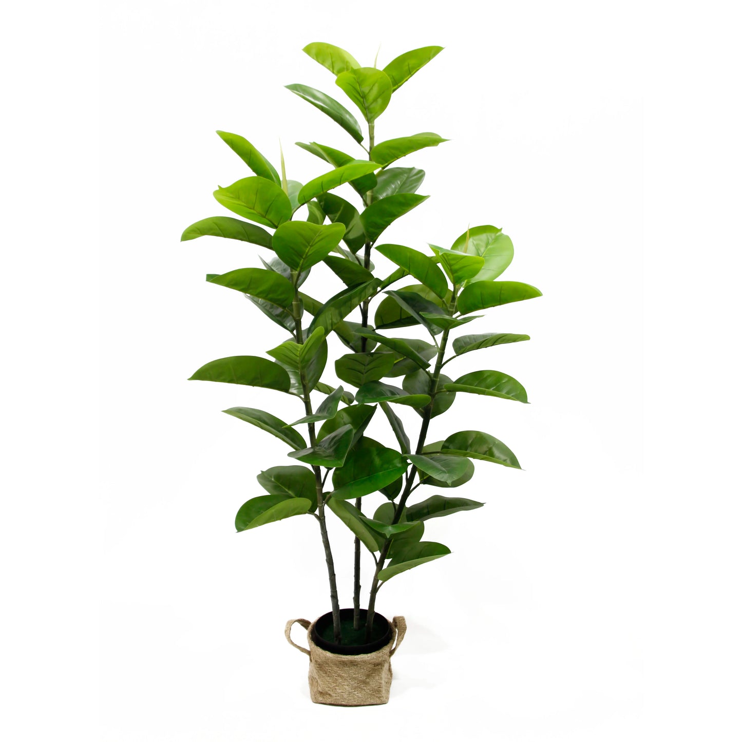 Nordic INS Tropical Faux Oak Tree Bonsai Plant Home & Garden Decorative Artificial Rubber Tree For Backyard Decor Yooly Plants - YL0111