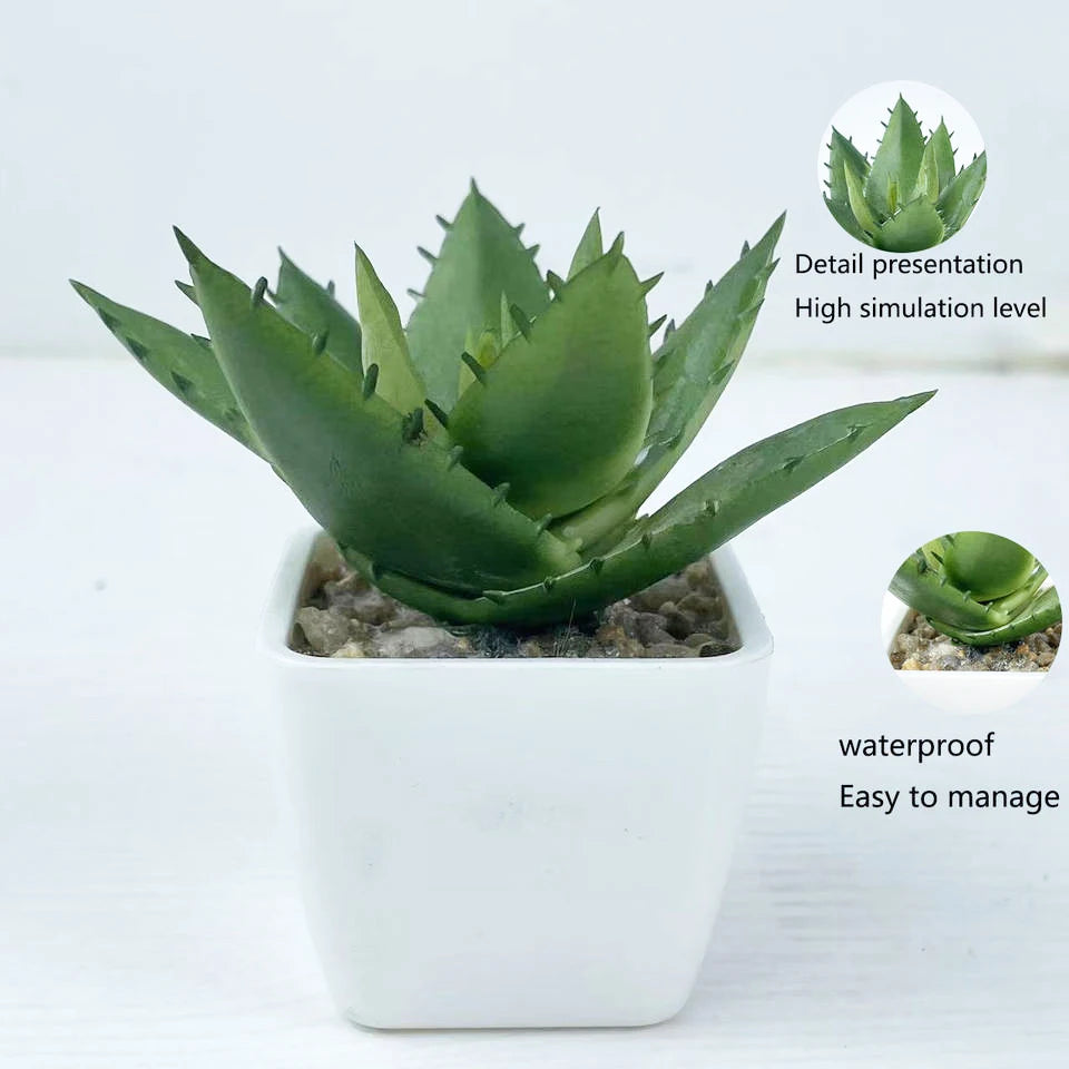 Wholesale of high-quality artificial small succulent Plantss potted Plantss bonsai artificial Plantss Yooly Plants - YLS10040