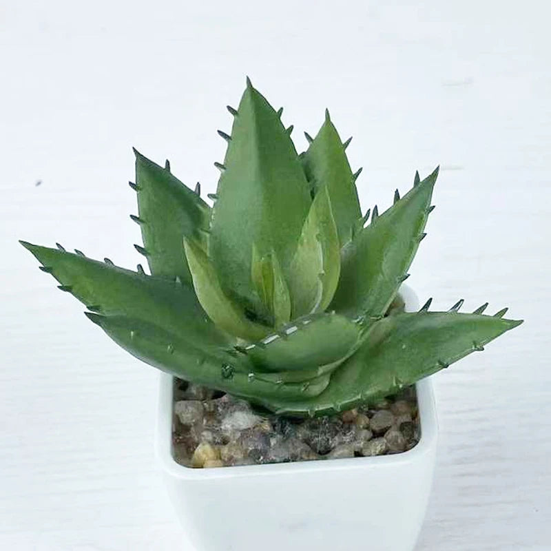 Wholesale of high-quality artificial small succulent Plantss potted Plantss bonsai artificial Plantss Yooly Plants - YLS10040