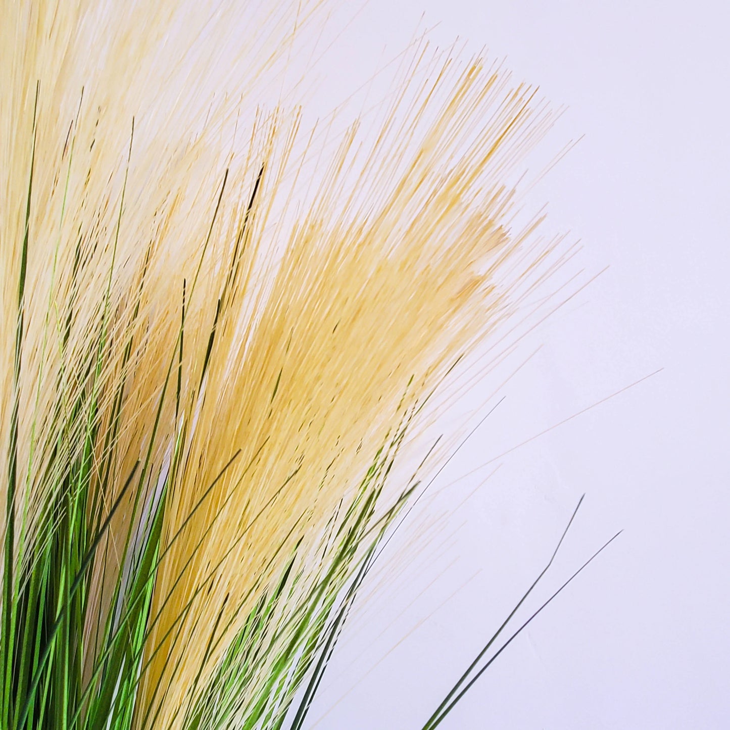 Wholesale Indoor Decorative Plastic Simulation Dog-Tail-Grass yellow Artificial Reed Onion Grass Potted Plant Yooly Plant - YLS0015