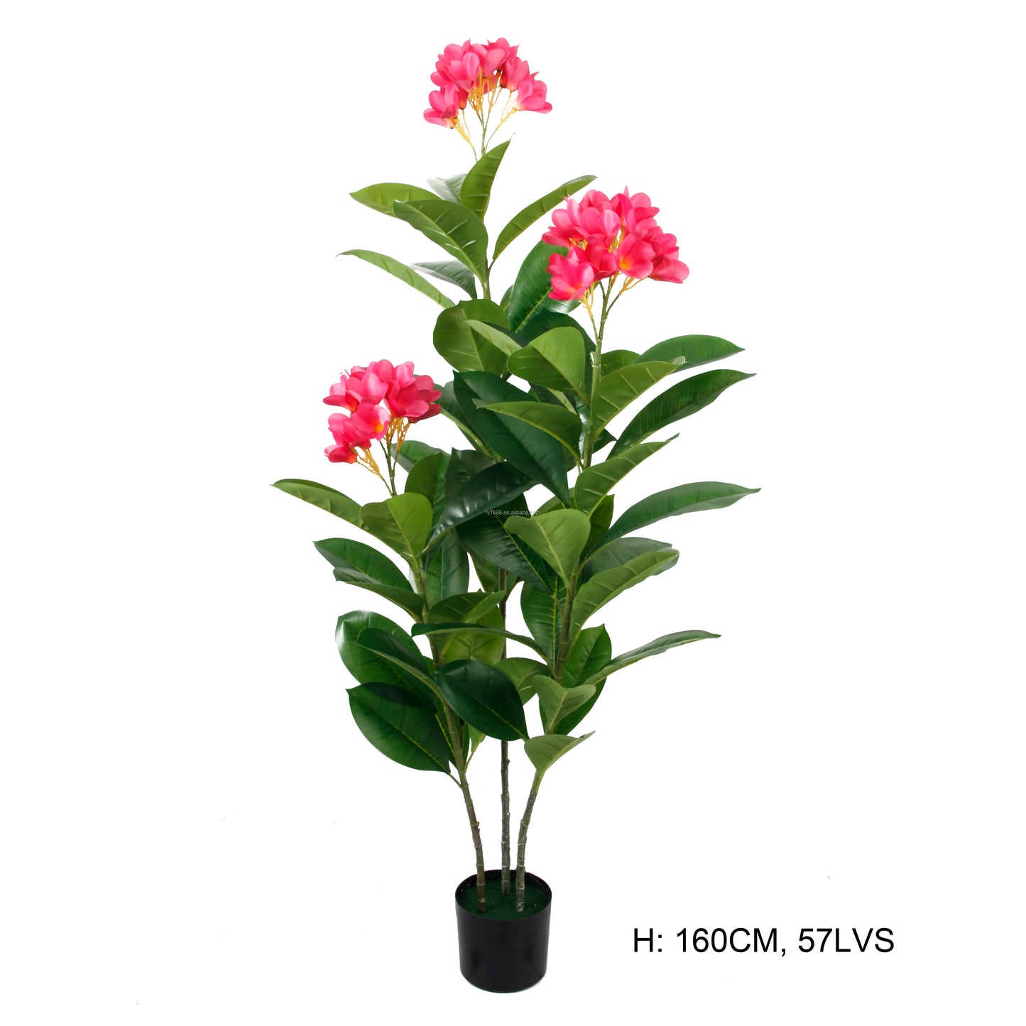 Factory Direct Sale Indoor Delightful Small Faux Bonsai Potted Plants Plumeria Rubra Acutifolia Flower Tree For Home Party Decor Yooly Plants -  YL08054