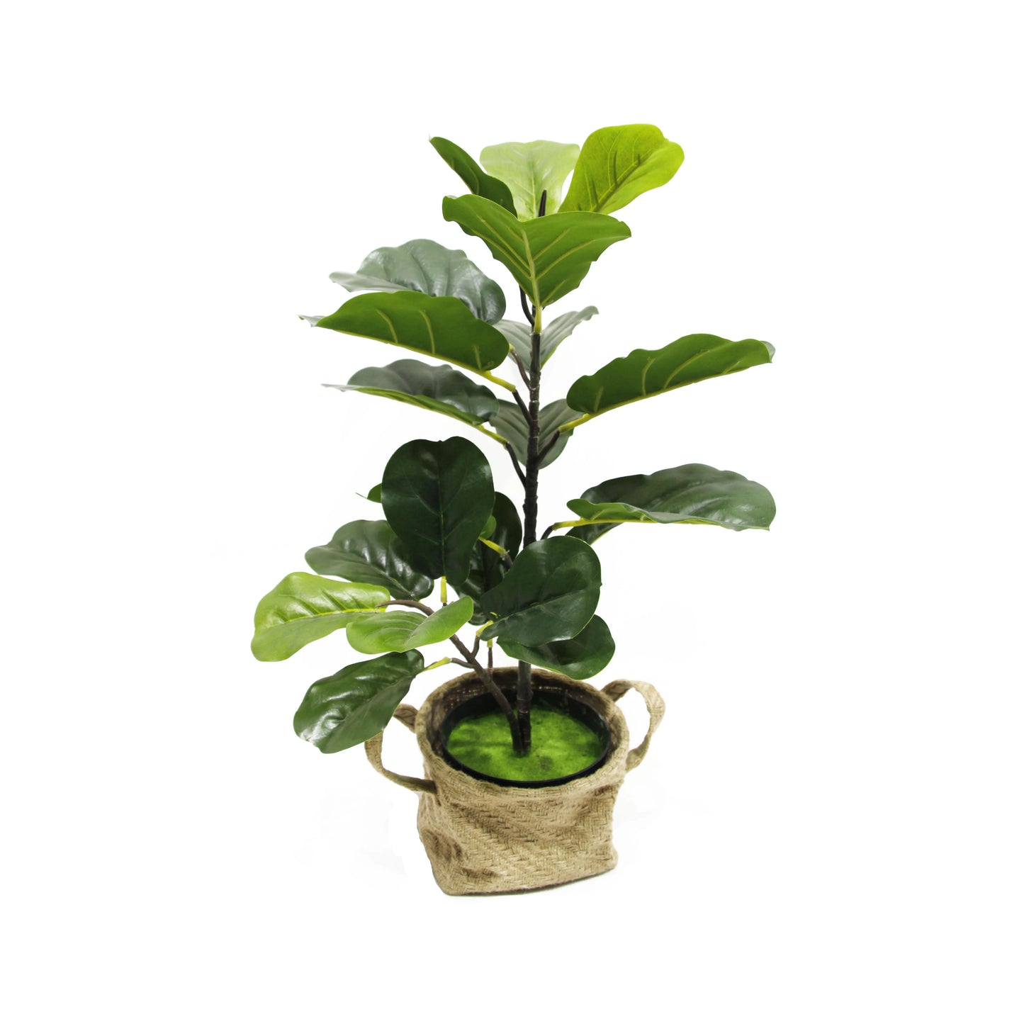 Fake Green Plants Big UV Resistant Artificial Ficus Fiddle Leaf Fig Tree For Indoor And Outdoor Decoration Yooly Plants - YL08134