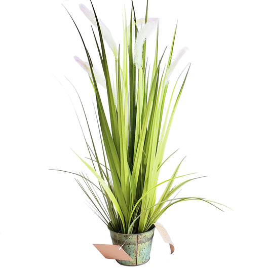 High Quality Wholesale Artificial Plant Dogtail in Pot Grass Faux Pampas Grass for Home Decor Yooly Plant - YLS0021