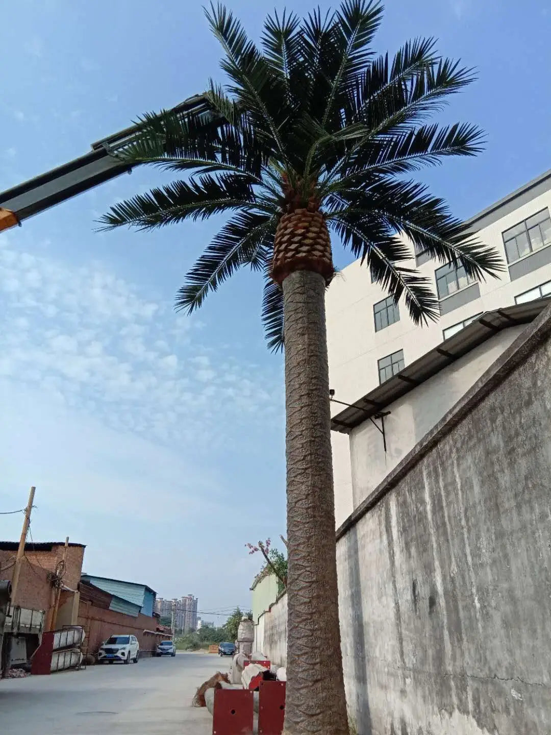 Customized Large Artificial Date Palm Tree Big Fake Seaweed Palm Tree For Garden Hotel Landscaping & Decking Yooly Plants - YL0667