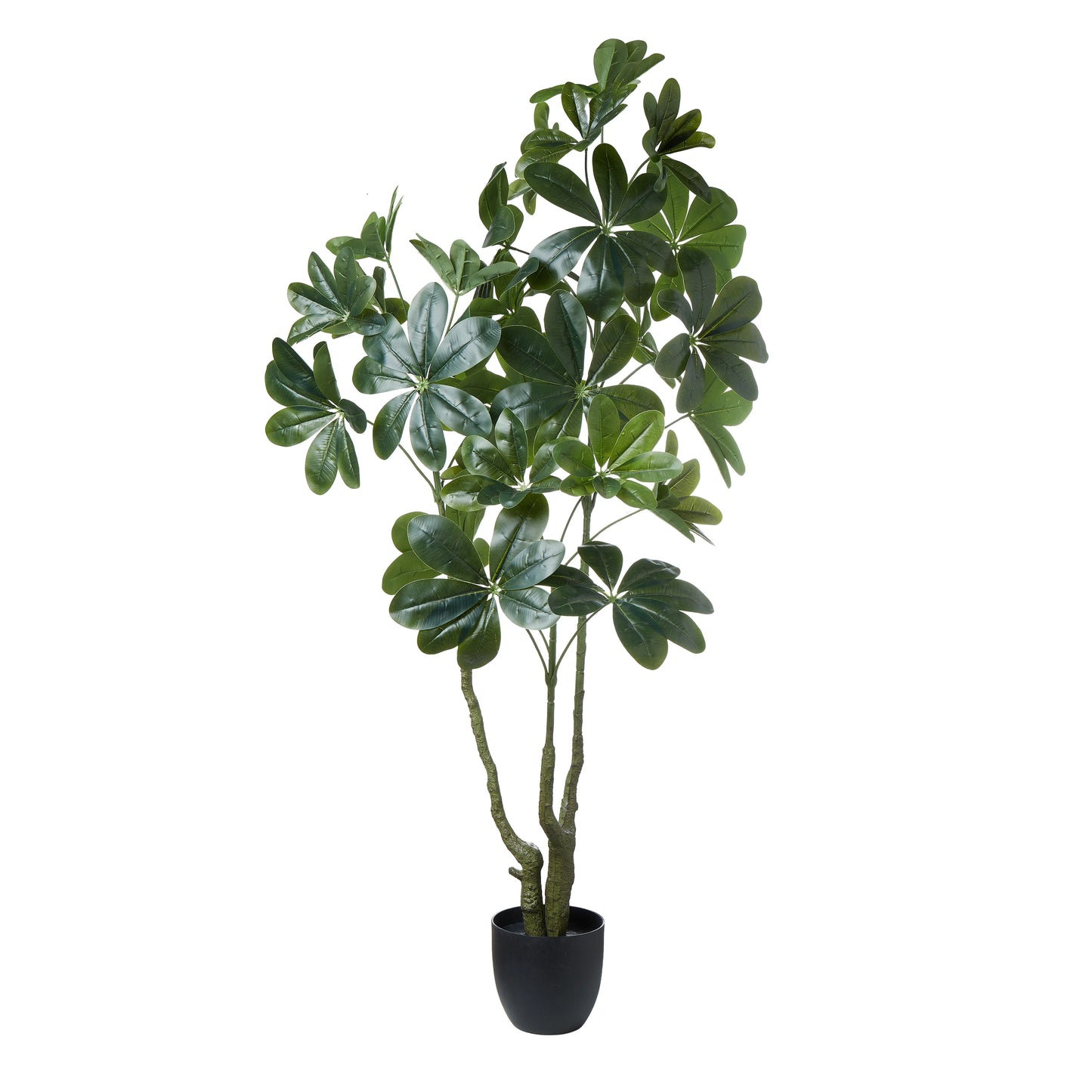 Factory Cheap 150CM 5FT High Simulation Artificial Schefflera Arboricola Fake Umbrella Tree Indoor Decorative Evergreen Tree Yooly Plants - YL08015