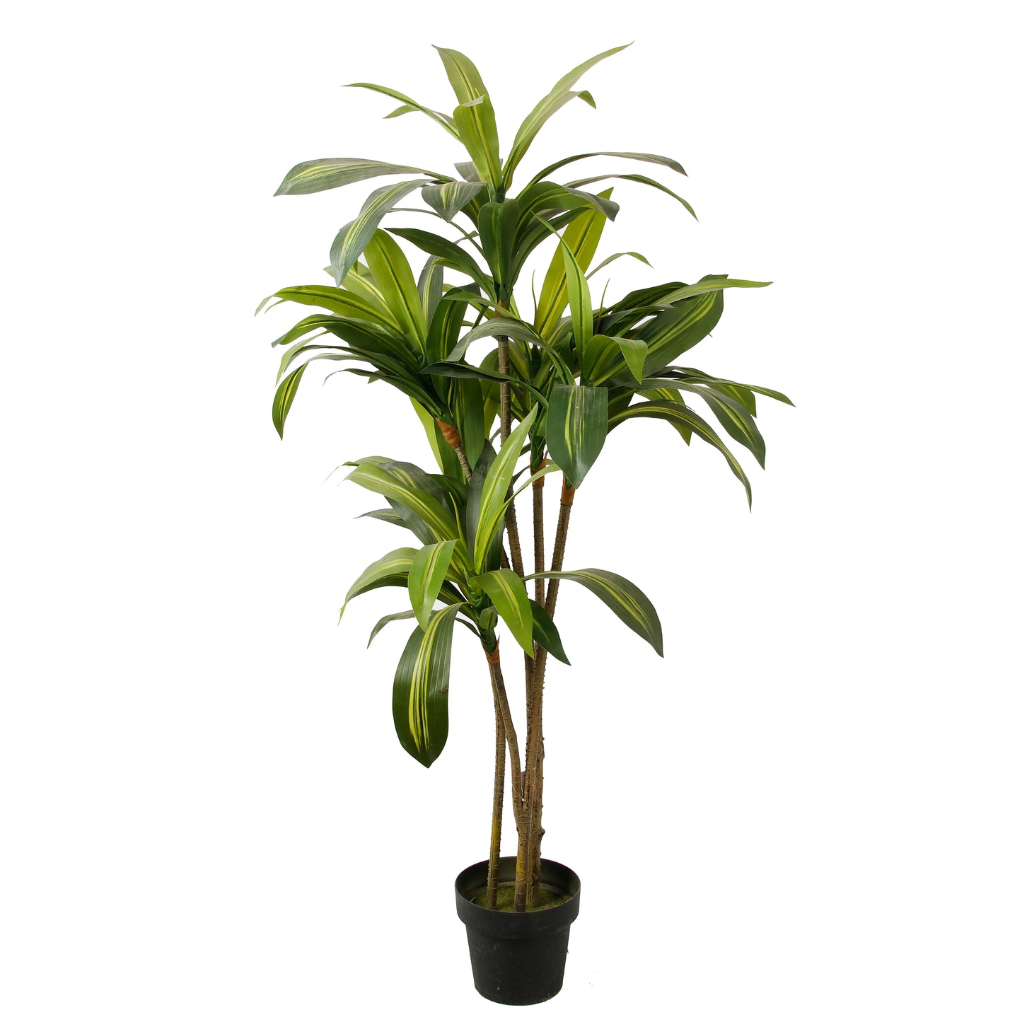 Outdoor Indoor Decorative Flowers And Plants Fake Dracaena Sanderiena Artificial Tree Dracaena Fragrans Yooly Plants - YL07796