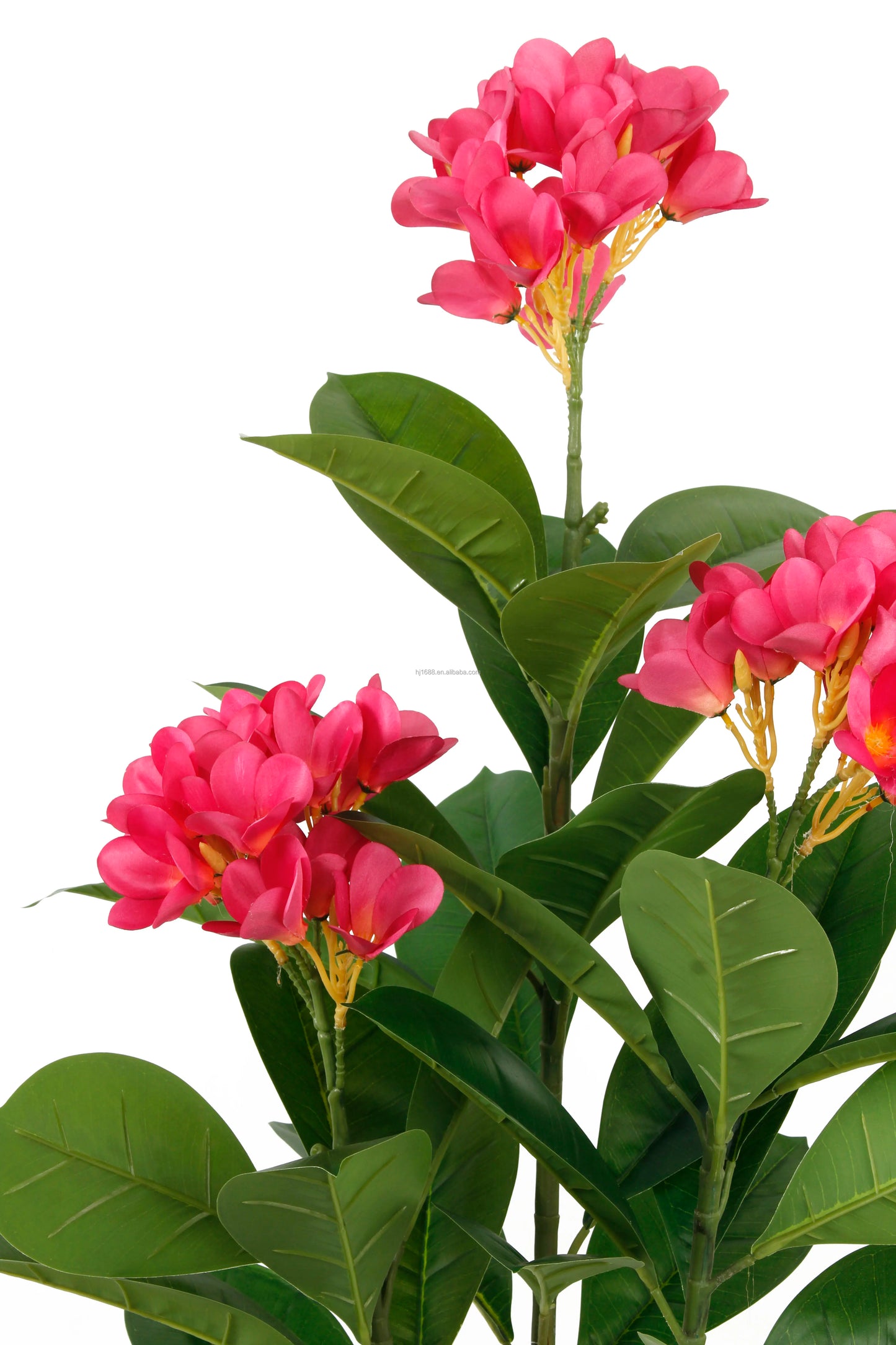 Factory Direct Sale Indoor Delightful Small Faux Bonsai Potted Plants Plumeria Rubra Acutifolia Flower Tree For Home Party Decor Yooly Plants -  YL08054