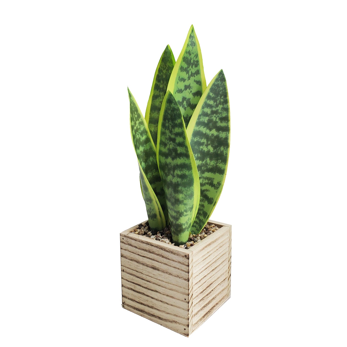 Light Green Plastic Sansevieria Artificial Snake Plants Decorative Plants Garden artificial plant Yooly Plants - YLS0007