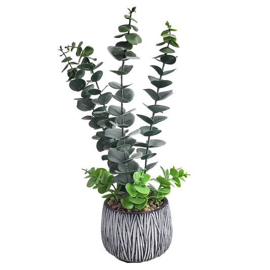 Artificial Eucalyptus Leaves Potted Plant Eucalyptus Natural Green Leaves Dried Eucalyptus Leaves for Home Decorations Yooly Plants - YLS0014