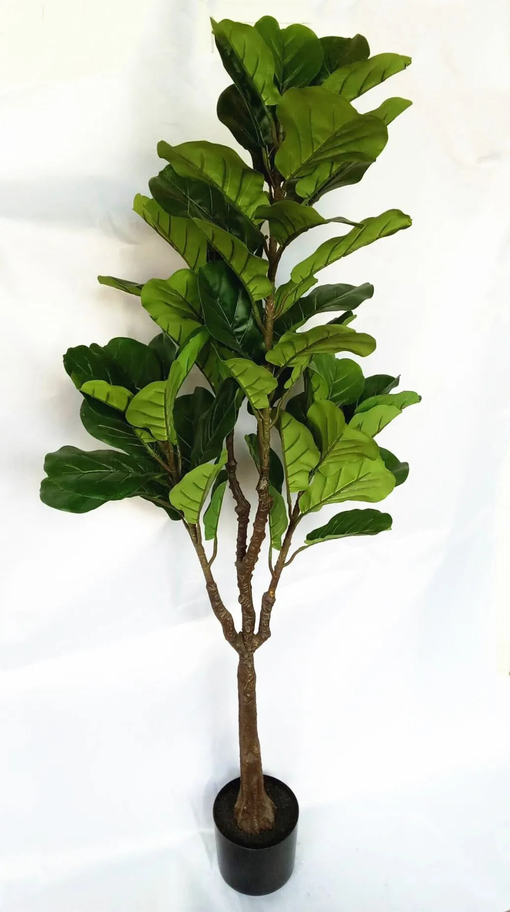 180CM Tall 6Trunks 203 Leaves Real Touch Faux Lyrata Potted Plants Artificial Ficus Fiddle Leaf Fig Tree For Interior Decor Yooly Plants - YL11138