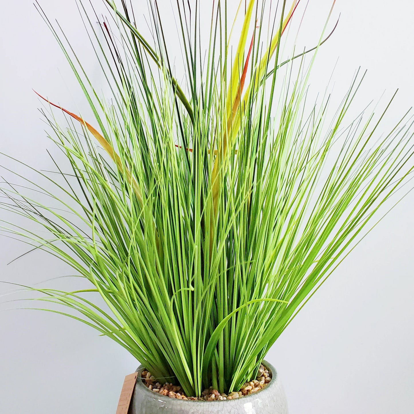 Artificial Potted Onion Grass in Pot Decorative Plastic Faux Greenery Plant for Kid's Room Decor Yooly Plant - YLS0023