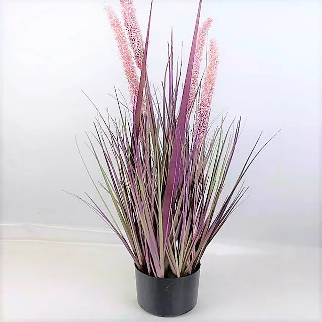 Large Tall Dried Artificial Potted Plant Artificial Pampas Onion Grass Bonsai for Decoration  Artificial Reed Grass Yooly Plant - YLS10008