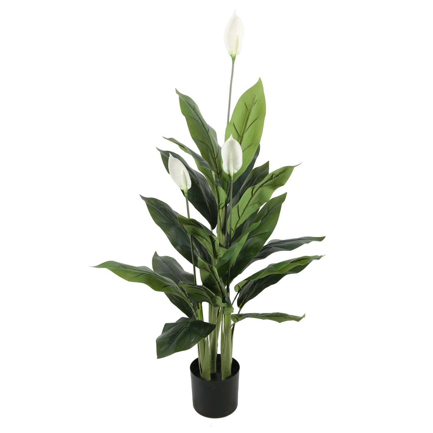 High Simulation Potted Bonsai Spathiphyllum Flower Artificial Peace Lily Green Plant Home Hotel Soft Artificial Plant Yooly Plants - YL221102