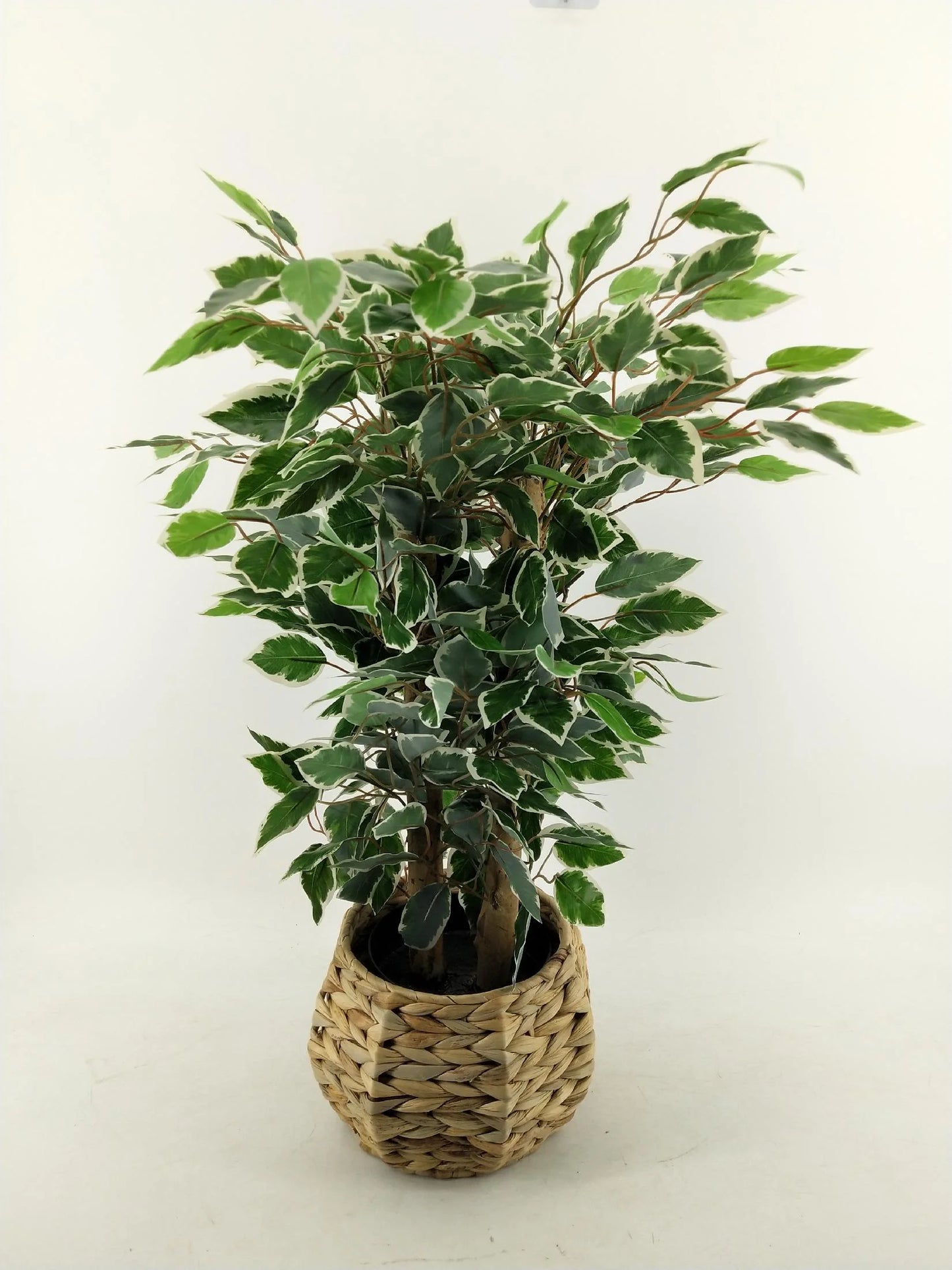 Factory Wholesale 6 Feet 180cm Large Home Office Decor Indoor Fake Plastic Ficus Tree Wholesale Artificial Plants With Pot Yooly Plants - YL11141