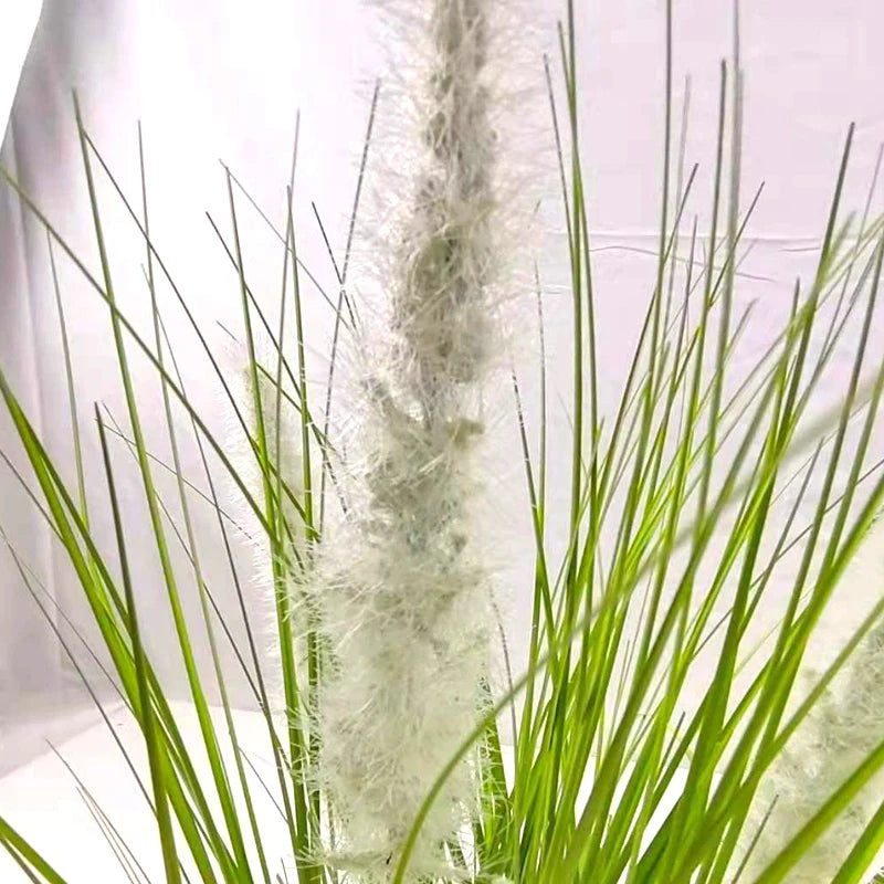 Most Popular Realistic Indoor Decorative Artificial Pvc Onion Grass Dog Tail Grass Plant artificial plant wholesale Yooly Plant - YLS0048