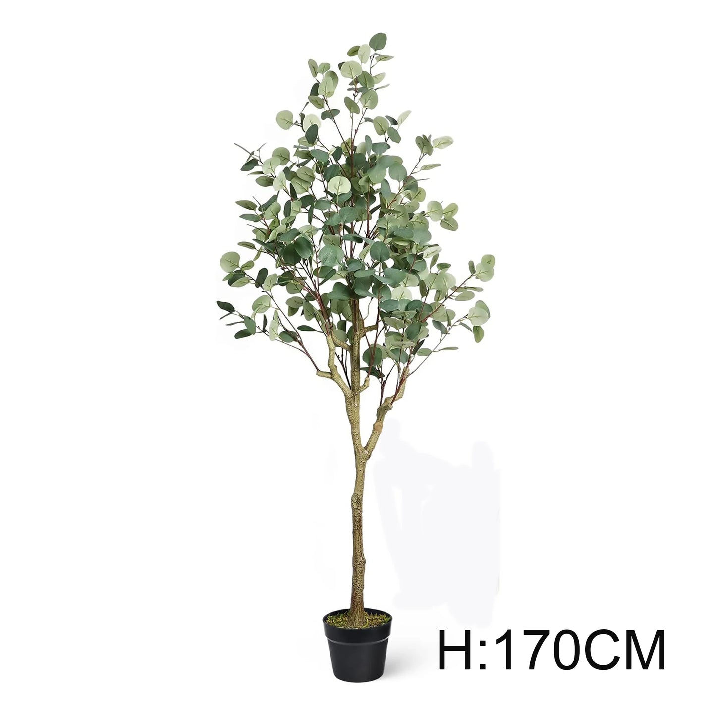 170CM Tall Artificial Eucalyptus Tree Plants Faux Money Tree for Decor Wedding Tree Yooly Plants - YL03420