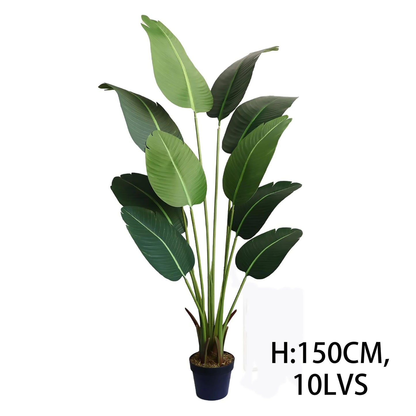 Bird of Paradise Plant 6 Feet 180 CM Faux Traveller Palm Tree High Simulation Plant Bonsai Artificial Green Plant Yooly Plants - YL02281