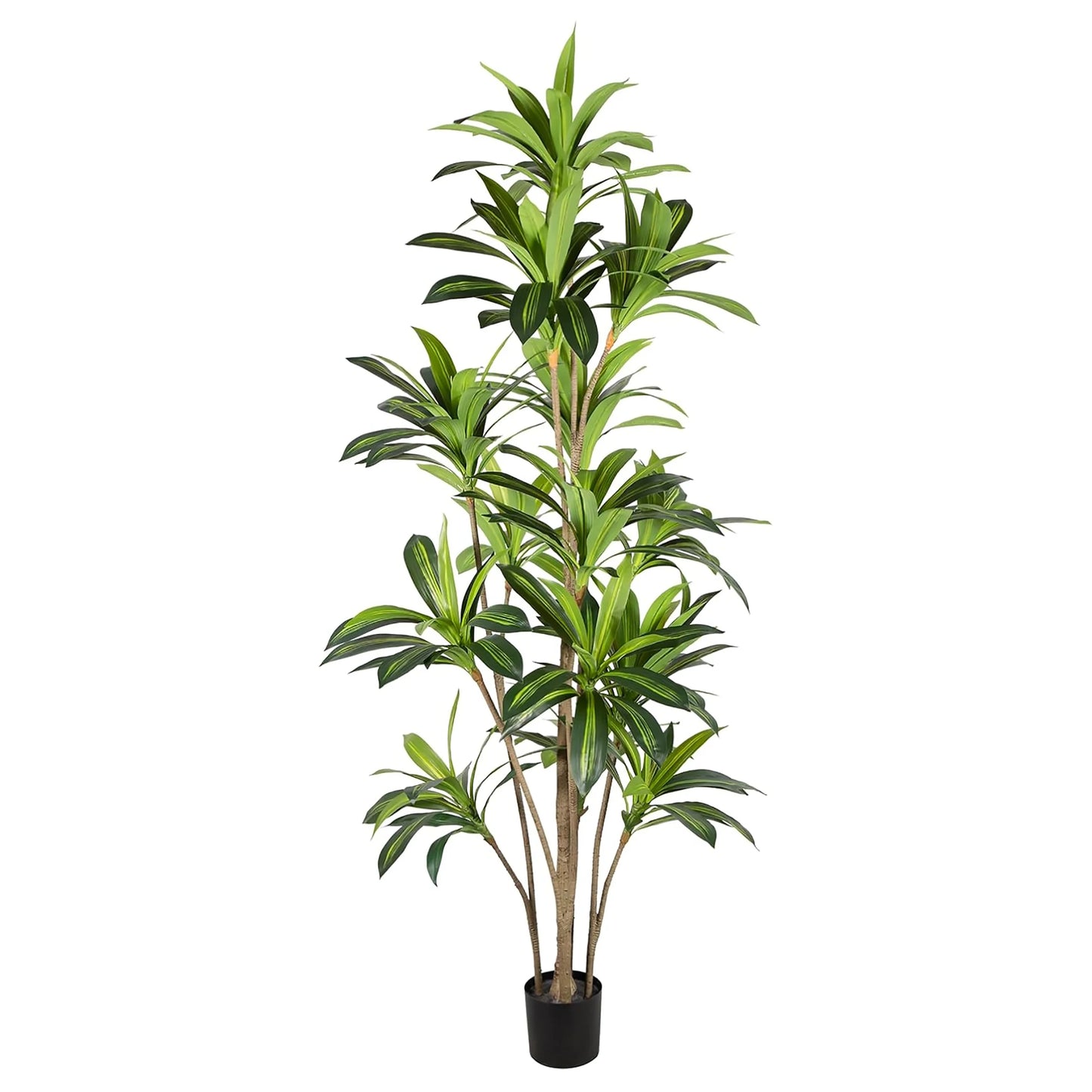 KD Packing 250CM 8.2FT Big Faux Dracaena Fragrans Ever Green House Plant Artificial Dracaena Silk Plants Tree In Pot For Indoor Yooly Plants - YL053002