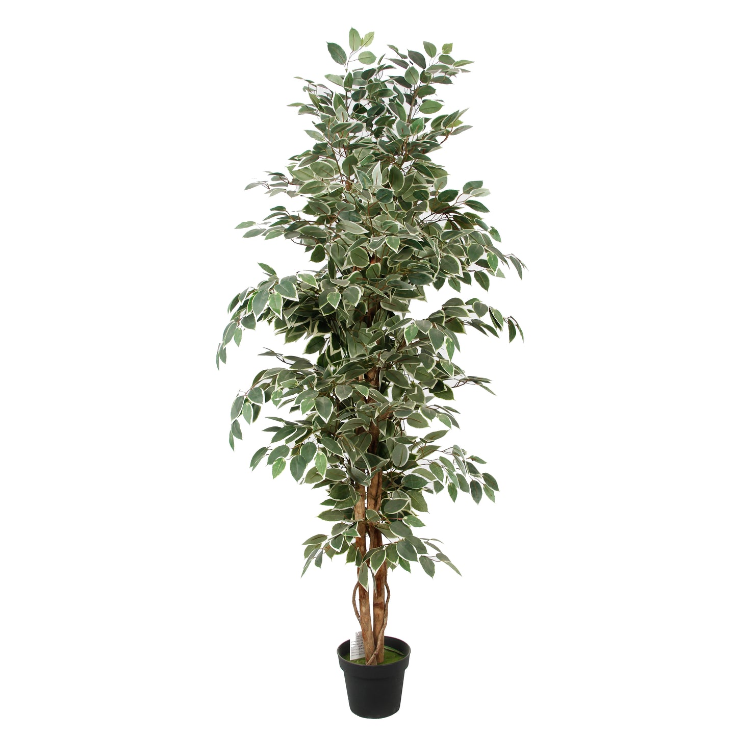 Factory Wholesale 6 Feet 180cm Large Home Office Decor Indoor Fake Plastic Ficus Tree Wholesale Artificial Plants With Pot Yooly Plants - YL11141