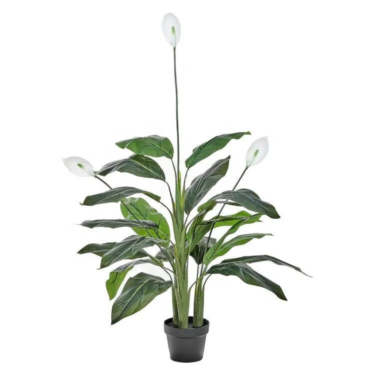 High Simulation Potted Bonsai Spathiphyllum Flower Artificial Peace Lily Green Plant Home Hotel Soft Artificial Plant Yooly Plants - YL221102