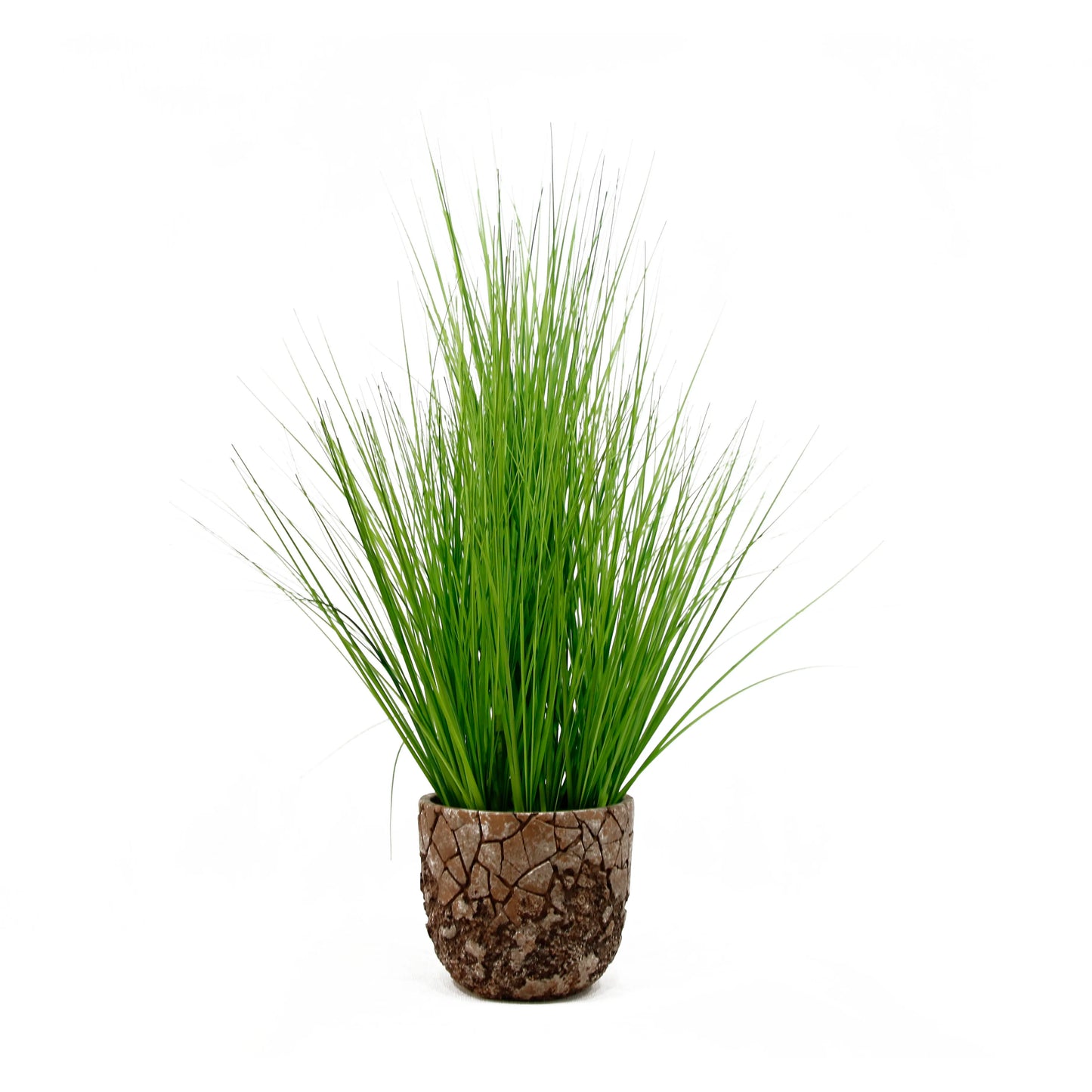 Factory Wholesale Blue Outdoor UV Resistant Artificial Grass Landscape Fake Onion Grass In Pot For Home & Garden Decoration Yooly Plants - YL04076