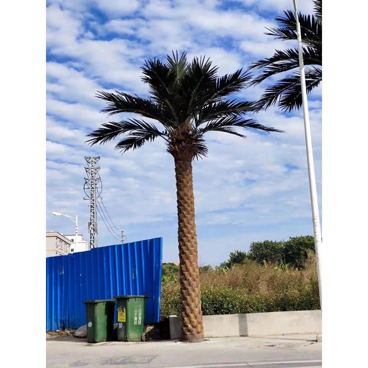 Customized Large Artificial Date Palm Tree Big Fake Seaweed Palm Tree For Garden Hotel Landscaping & Decking Yooly Plants - YL0667